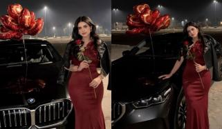 علینہ عامر نے میرون ڈریس میں خوبصورت تصاویر شیئر کردیں