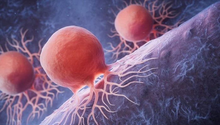 — فائل فوٹو