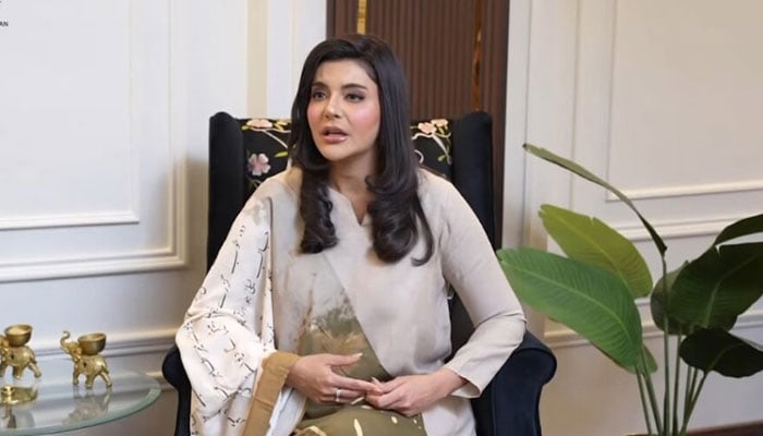 ندا یاسر---فائل فوٹو