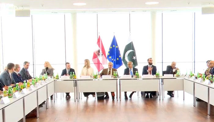 شہباز شریف نے کہا کہ نوجوانوں کی ترقی کیلئے متعدد منصوبے شروع کیے گئے ہیں۔ اسکرین گریب یوٹیوب