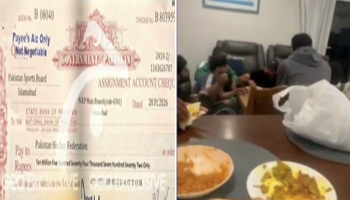 اسکرین گرایب