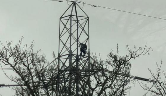 برطانیہ: 1 شخص بجلی کے کھمبے پر چڑھ گیا، 20 ہزار گھروں کی بجلی منقطع