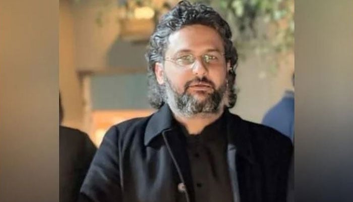 سینیٹر فیصل جاوید خان(فائل فوٹو)۔