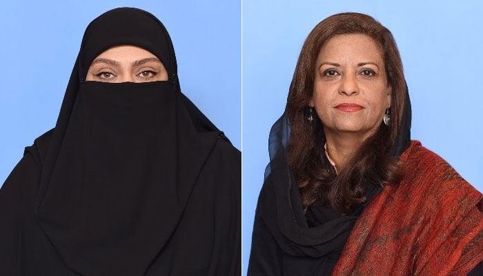 عالیہ کامران نے نفیسہ شاہ کے پیش کردہ بل کی مخالفت کردی