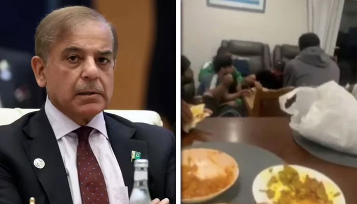 کولاج فوٹو: سوشل میڈیا