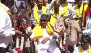 ویلنٹائن ڈے پر گدھوں کی شادی کا انوکھا واقعہ، ویڈیو وائرل