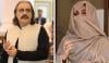 علی امین گنڈاپور کے بشریٰ بی بی اور علیمہ خان سے متعلق بیانات پر پی ٹی آئی کا ایکشن لینے کا فیصلہ