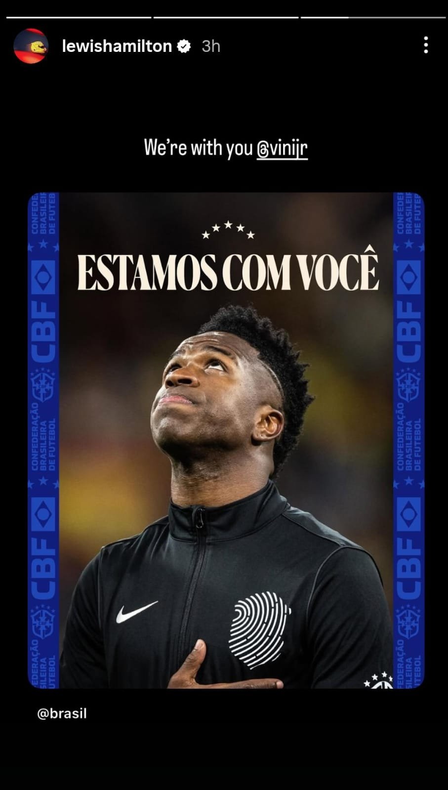 picture credit: Lewis Hamilton / Instagram