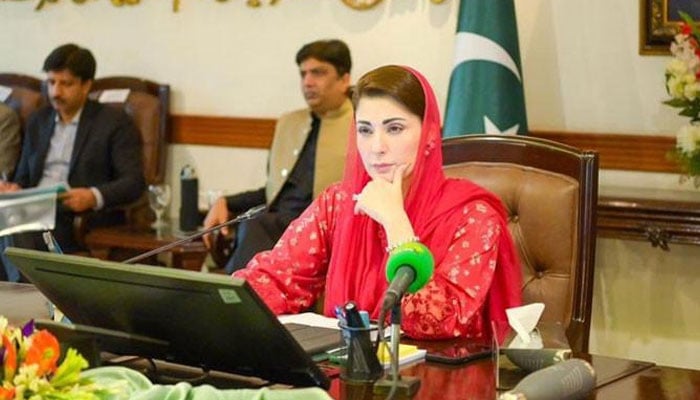 وزیرِ اعلیٰ پنجاب مریم نواز— فائل فوٹو