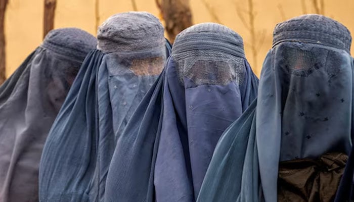 — تصویر بشکریہ غیر ملکی میڈیا