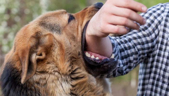 —فائل فوٹو