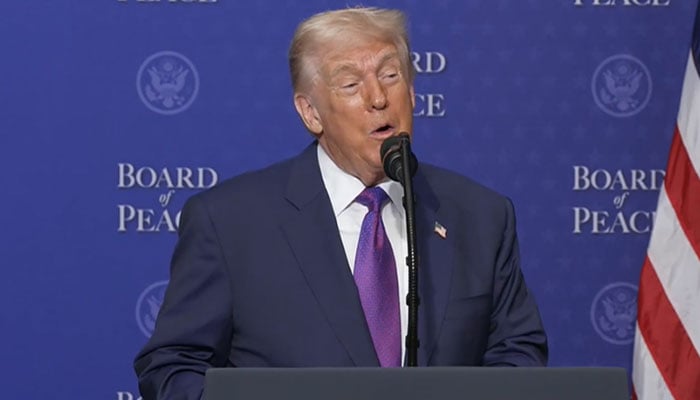 فوٹو: اسکرین گریب