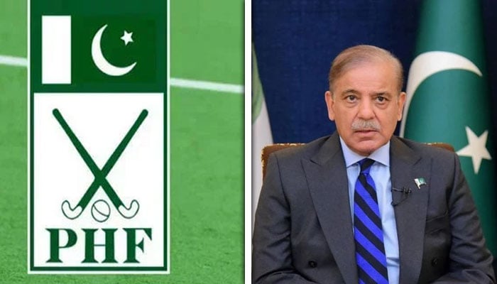 کولاج فوٹو: فائل