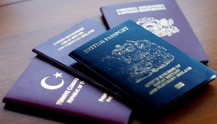 دوسرے پاسپورٹ پر برطانیہ آنے والے دوہرے شہریوں کے لیے گریس پیریڈ درکار ہے، لبرل ڈیموکریٹس