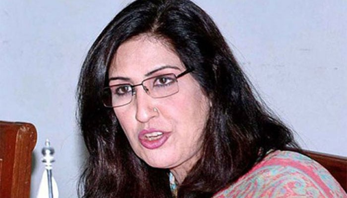 شہلا رضا : فائل فوٹو