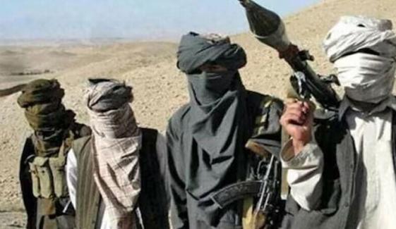 پاکستان میں دہشتگردی کیلئے افغان سر زمین کے استعمال کے نئے شواہد منظرِ عام پر