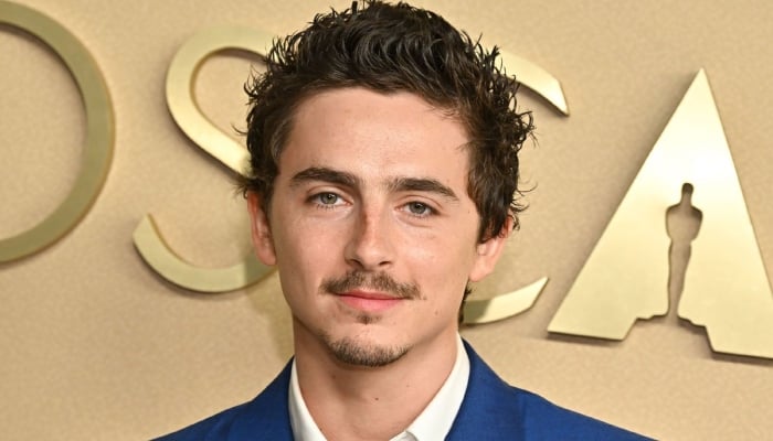 Timothée Chalamet drops big hint about rap music career revival