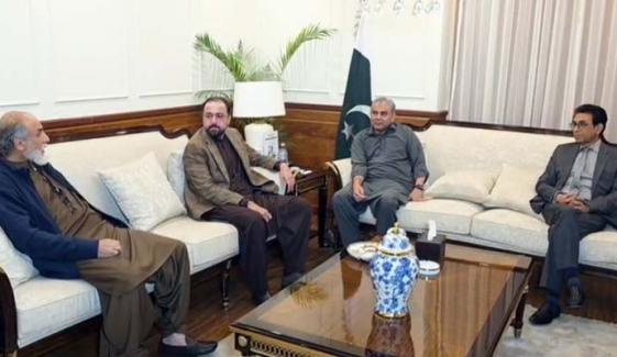 ایم کیو ایم، ق لیگ، بی این پی کا سیکیورٹی  فورسز کی مکمل حمایت  کا اعلان