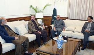 ایم کیو ایم، ق لیگ، بی این پی کا سیکیورٹی  فورسز کی مکمل حمایت  کا اعلان