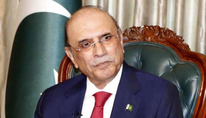 پاکستان نے طویل عرصہ تحمل دکھایا اور کارروائیاں محدود علاقوں تک رکھیں: صدر آصف زرداری - فوٹو: فائل