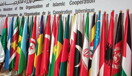 اسرائیل میں امریکی سفیر کا بیان ناقابل قبول، او آئی سی