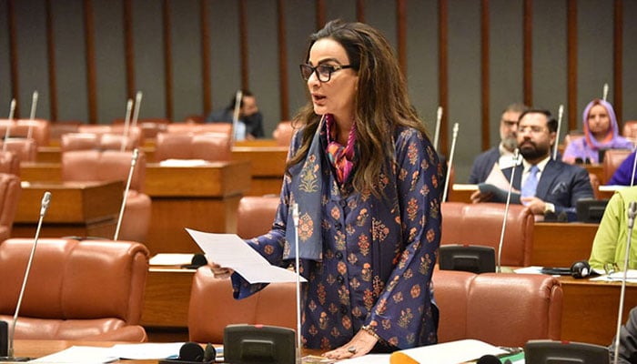 سندھ کو متنازع کردینا آئین اور جمہوریت کے منافی ہے، شیری رحمان - فوٹو: فائل