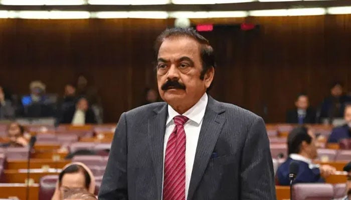 جمہوریت مذاکرات سے آگے بڑھتی ہے، ڈیڈلاک سے نہیں: رانا ثناء اللّٰہ - فوٹو: فائل