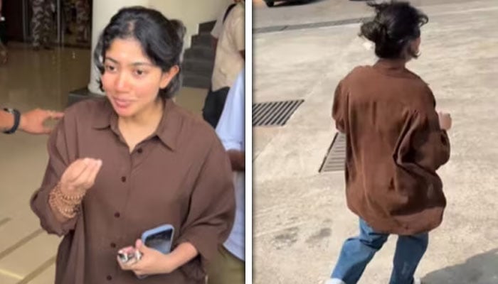 کولاج فوٹو: اسکرین گریب