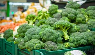 بروکولی وٹامنز سے بھرپور انتہائی مفید سبزی ہے، یہ زیادہ استعمال کرنا چاہیے، ماہرین