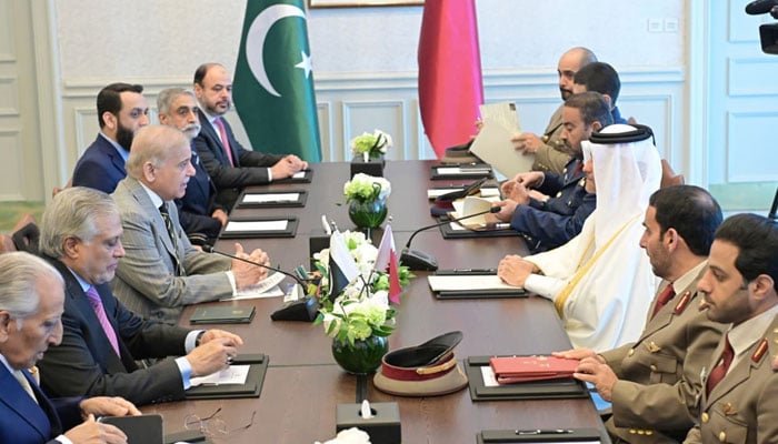 فوٹو: پی آئی ڈی