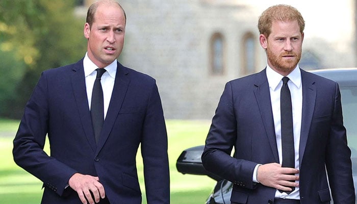 Prince William needs Harry support to save reign: running out of allies