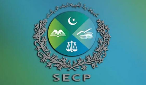 نجی شعبے میں غیر ملکی کمپنیوں کی کتنی سرمایہ کاری ہے؟