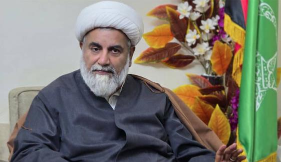 راجا ناصر عباس کی بانی کی صحت کے جائزے کیلئے وفد تشکیل دینے کی تجویز