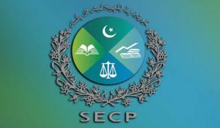 نجی شعبے میں غیر ملکی کمپنیوں کی کتنی سرمایہ کاری ہے؟