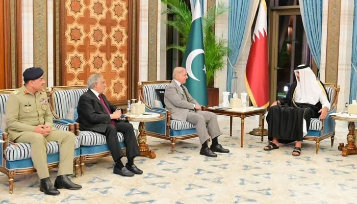 فوٹو: بشکریہ پی آئی ڈی