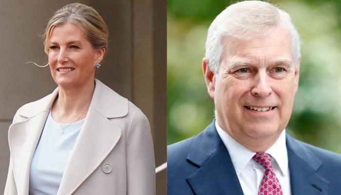 Duchess Sophie meets sexual abuse victims outside UK amid Andrew-Epstein fiasco