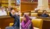 پنجاب اسمبلی میں اپوزیشن ارکان نے کاغذی جہاز اپنے مائیکس پر نصب کرلیے
