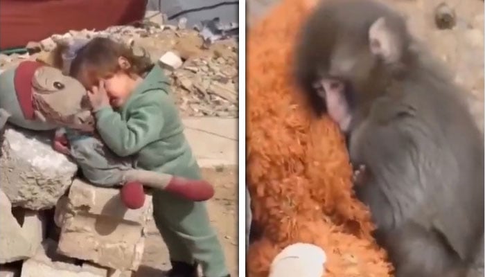 ---اسکرین گریب