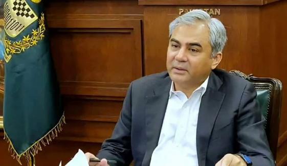 پاکستان افرادی قوت یورپی ممالک بھیجنے کے لیے تیار ہے، محسن نقوی