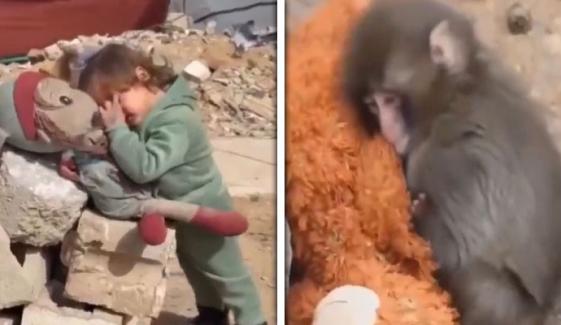 ماں سے بچھڑے بندر پر آنسو، غزہ کی بچی پر خاموشی؟