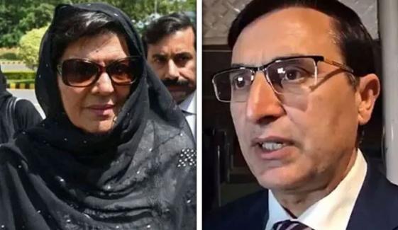 محسن نقوی کانفرنس کال پر دوسرا آدمی کون؟ بیرسٹر گوہر نے علیمہ خان کو جواب دے دیا