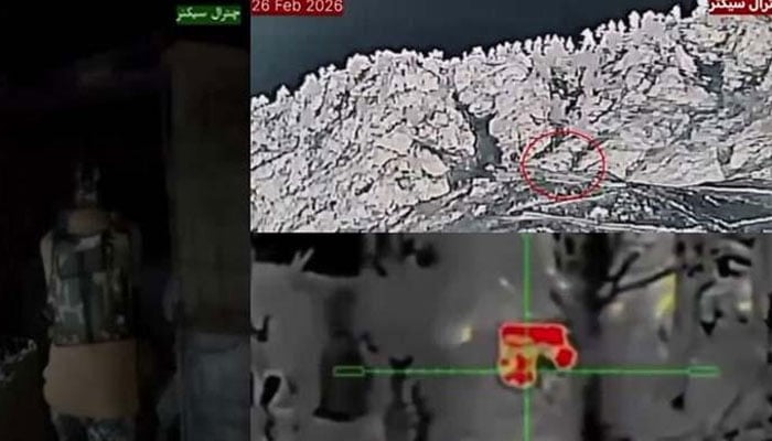 افغانستان کو پاکستان کا دندان شکن جواب، سوشل میڈیا پر میمز کا طوفان