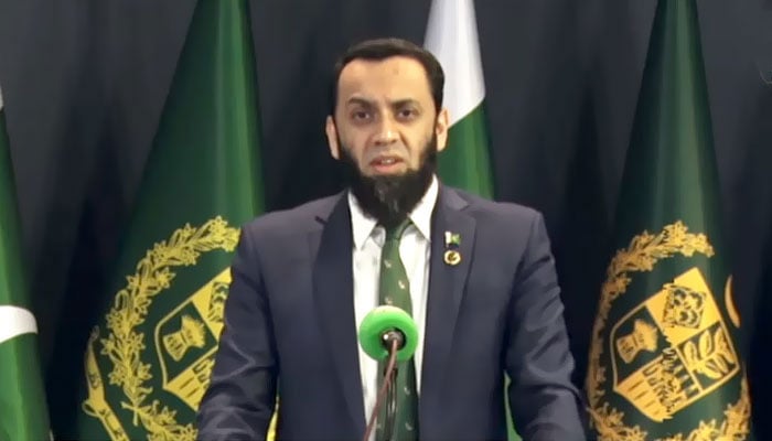 اسکرین گرایب