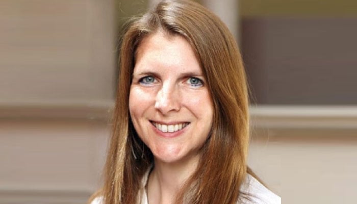 پاکستانی شہری اب برطانیہ کے لیے eVisa استعمال کر سکیں گے، برطانوی ہائی کمشنر