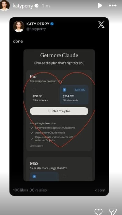P.C.: Katy Perry/Instagram Stories