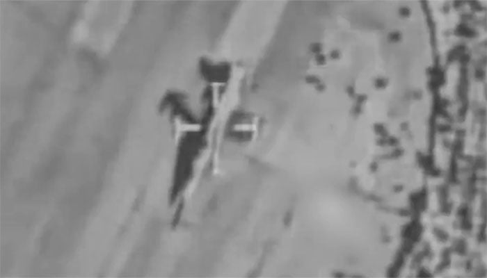 اسکرین گریب/ ایکس