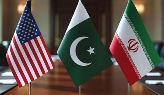 جنگ بندی کی کوششوں میں حکومت کو عوام کی بھرپور سپورٹ حاصل ہے: سروے 