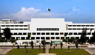 قومی اسمبلی میں لفٹ بند ہوگئی، لفٹ میں پھنسی سیما جیلانی کا مولانا فضل الرحمان سے دلچسپ مکالمہ