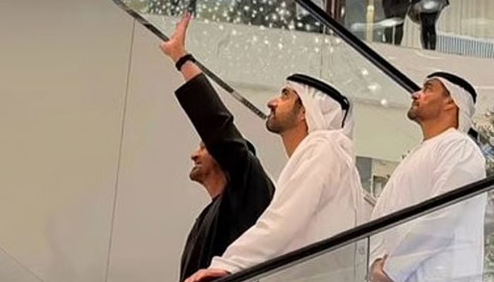 — اسکرین گریب