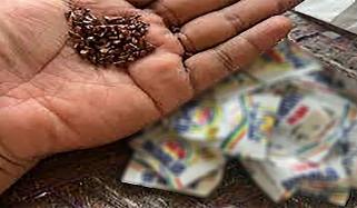 لاہور: معروف سپاری کا تمام اسٹاک مارکیٹ سے ضبط